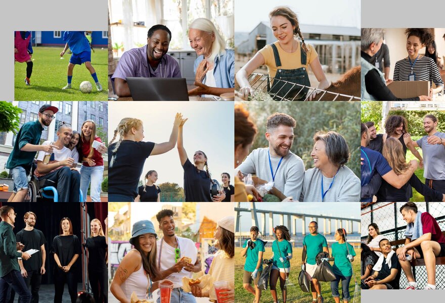 springly nonprofit software