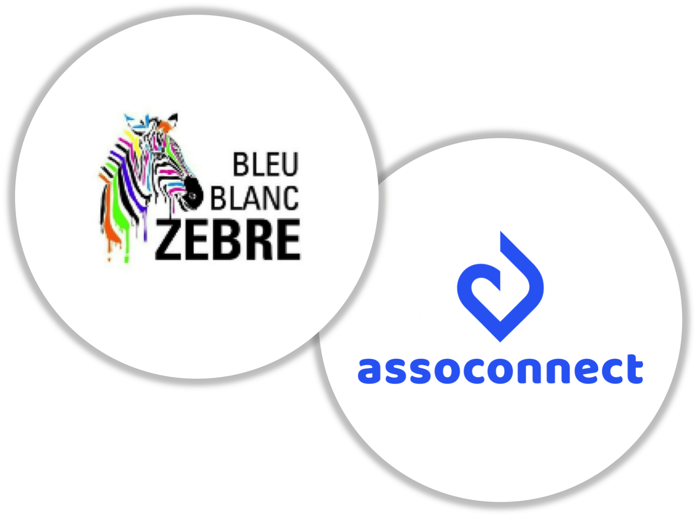 AssoConnect Bleu Blanc Zèbre
