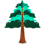 Sequoia / +