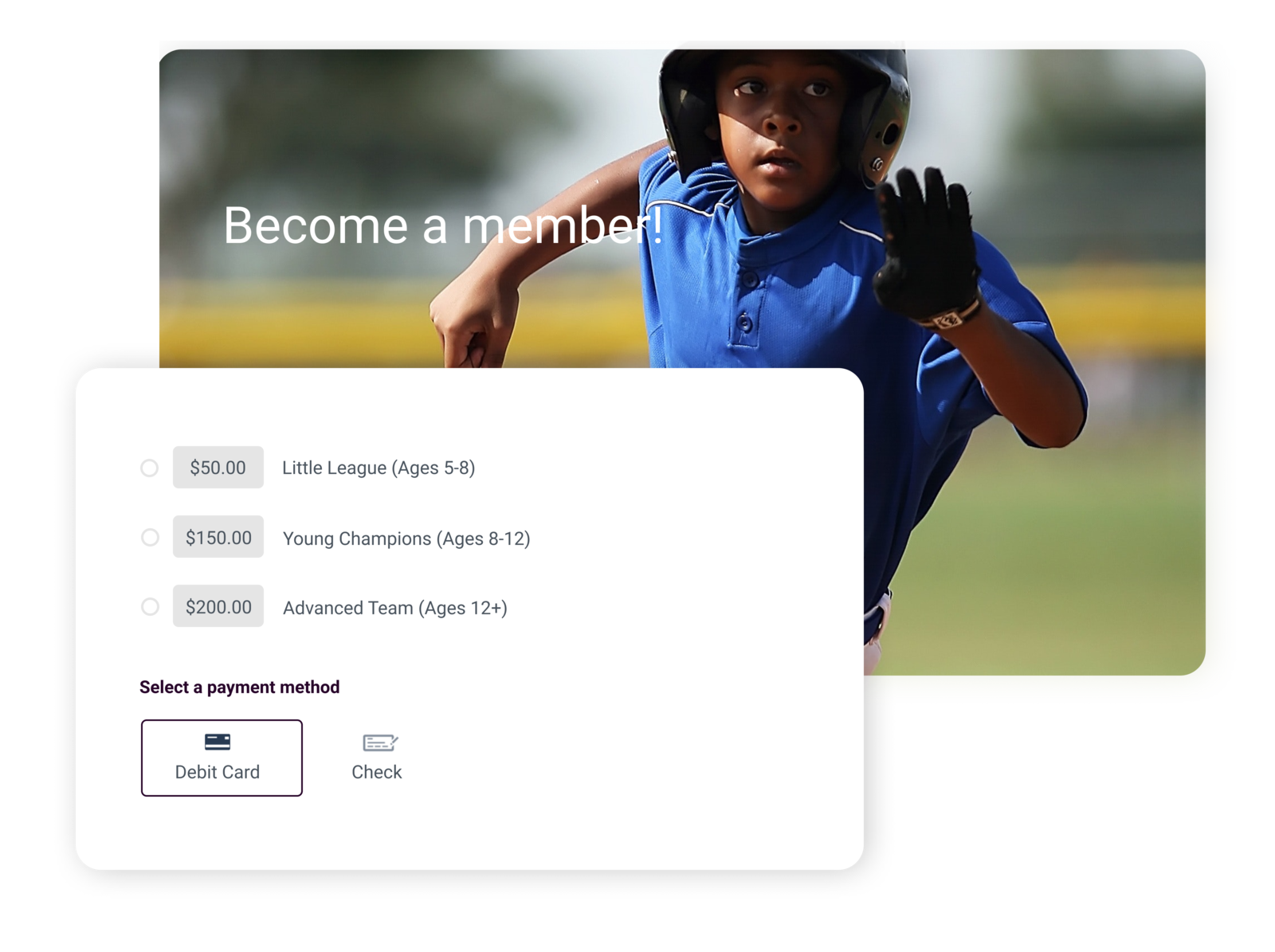 baseball club management software summary