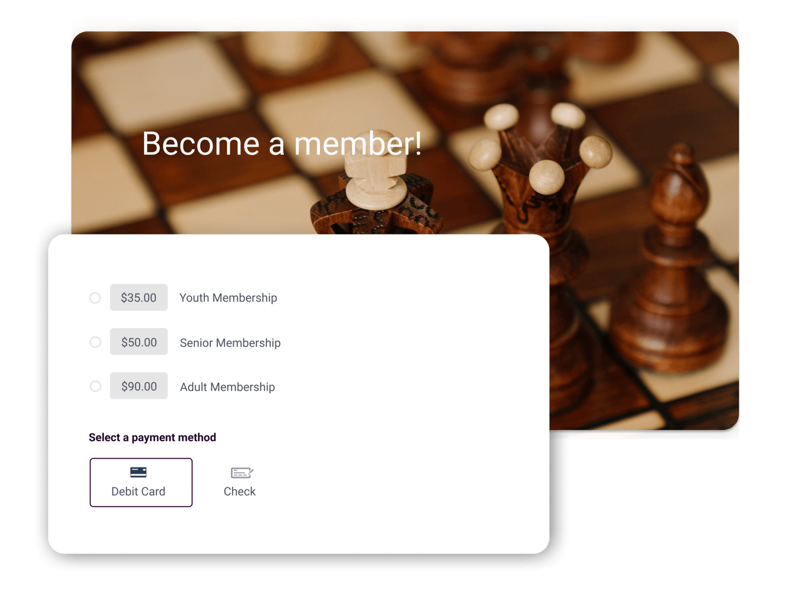 chess club software summary