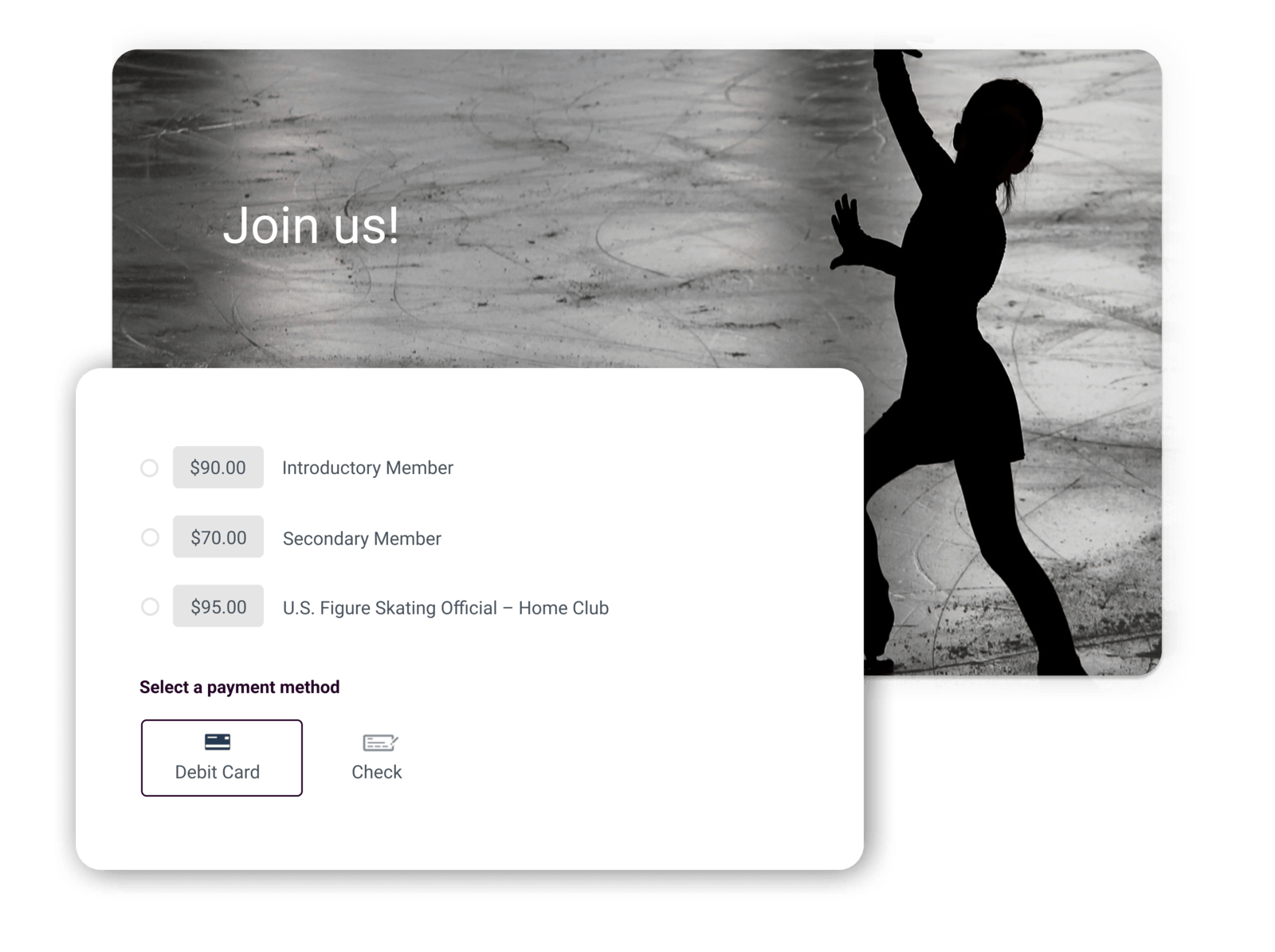 figure skating software summary